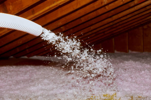 Best Insulation Contractors for Homes  in Excelsior Springs, MO