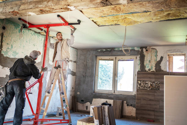 Best Insulation for Commercial Buildings  in Excelsior Springs, MO