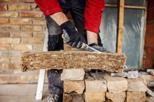 Best Insulation Inspection Services  in Excelsior Springs, MO