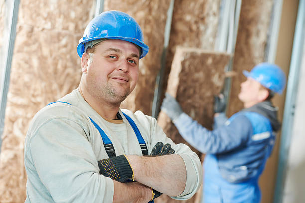 Best Fiberglass Insulation  in Excelsior Springs, MO