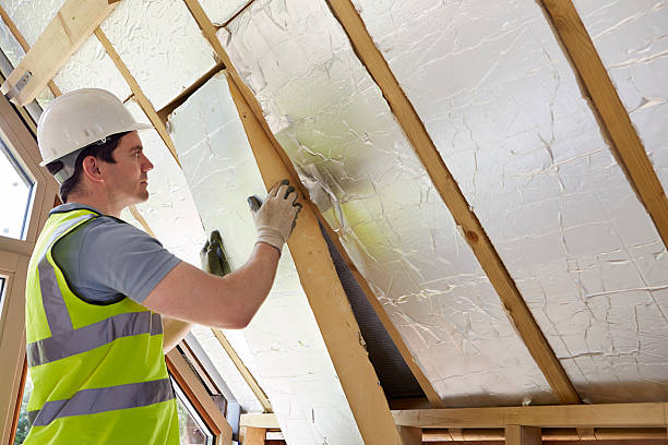 Insulation Replacement Services in Excelsior Springs, MO