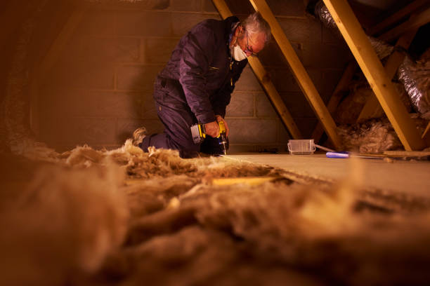Best Insulation Repair Services  in Excelsior Springs, MO
